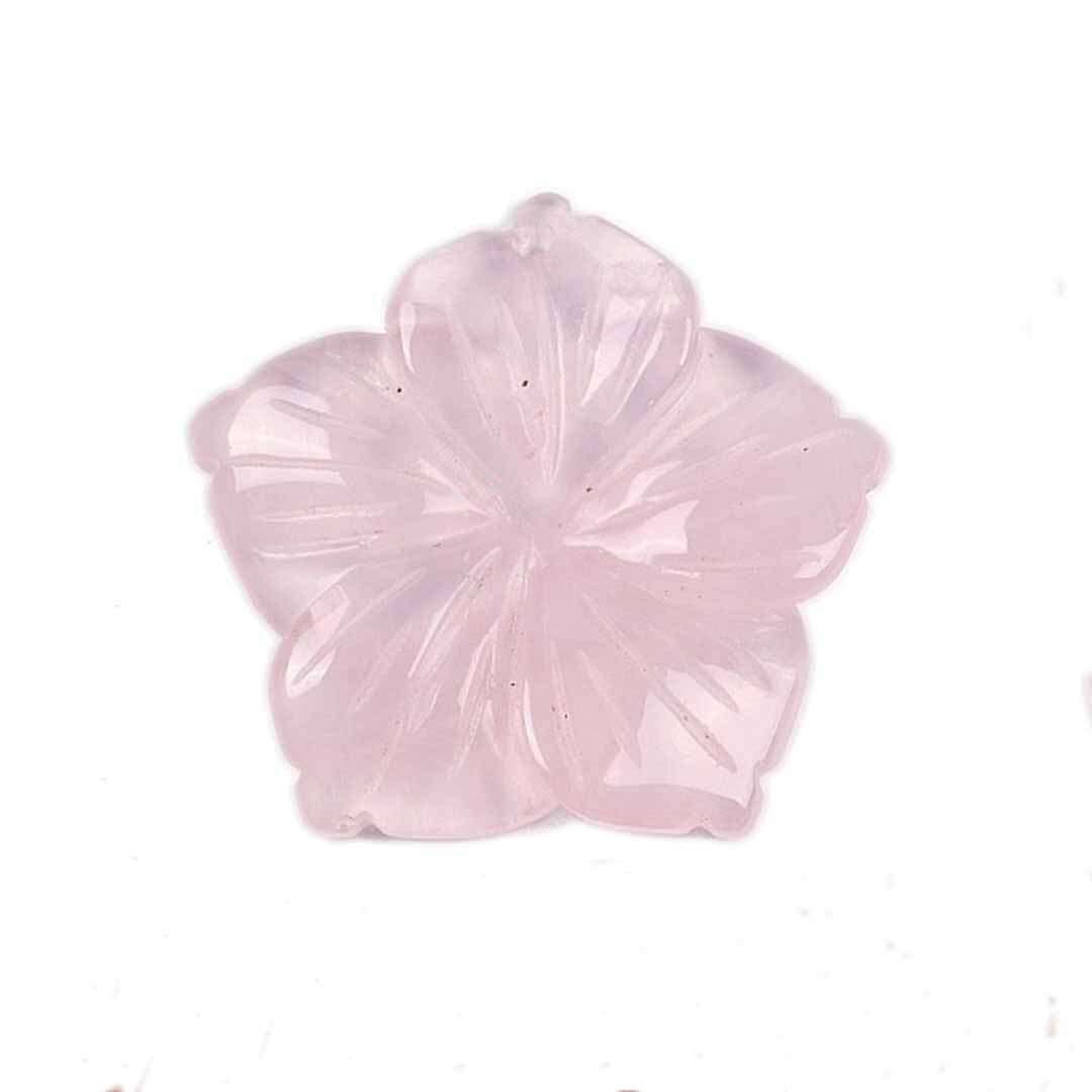 Rose Quartz peach blossom flower on white background