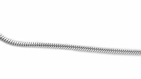 Snake Chain on white background