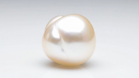 Baroque freshwater pearl on plain background Baroque freshwater pearl on plain background