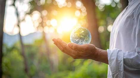 Globe in hands with forest behind