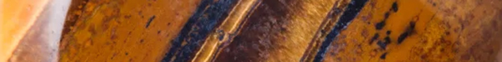 Tiger's Eye